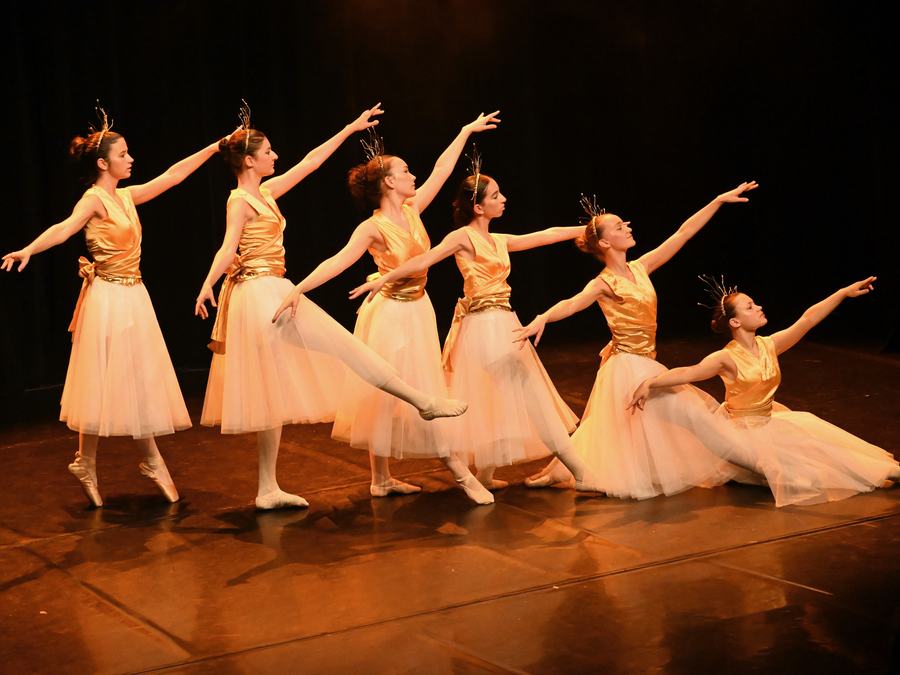 Gala Imaginarium — Danseuses en tutu rose alignées sur scène